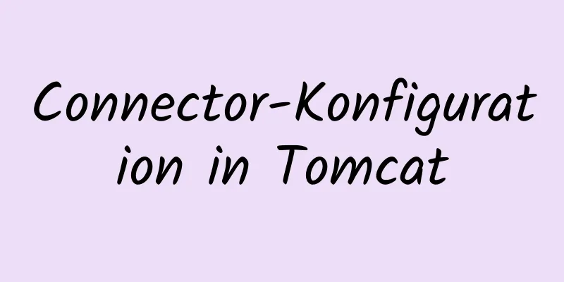 Connector-Konfiguration in Tomcat