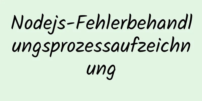 Nodejs-Fehlerbehandlungsprozessaufzeichnung