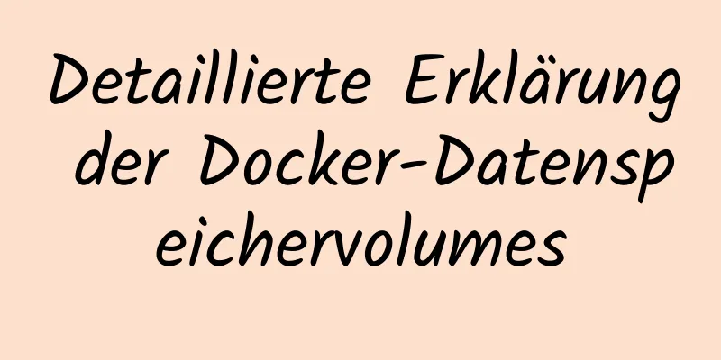 Detaillierte Erklärung der Docker-Datenspeichervolumes