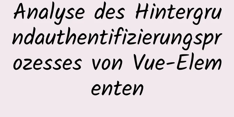 Analyse des Hintergrundauthentifizierungsprozesses von Vue-Elementen