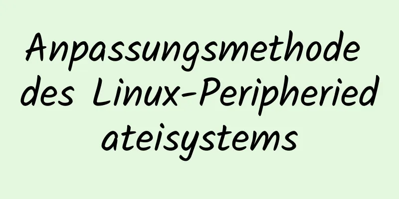 Anpassungsmethode des Linux-Peripheriedateisystems