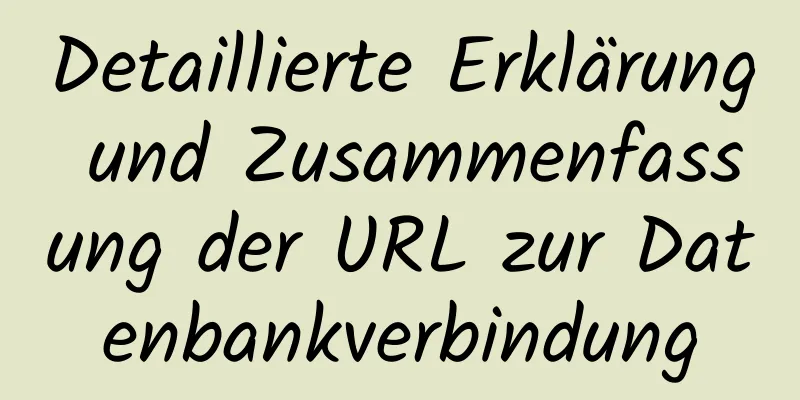 Detaillierte Erklärung und Zusammenfassung der URL zur Datenbankverbindung