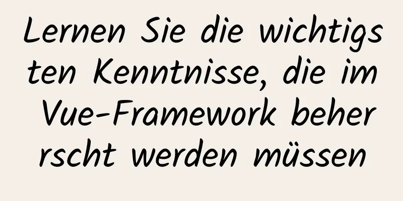 Lernen Sie die wichtigsten Kenntnisse, die im Vue-Framework beherrscht werden müssen