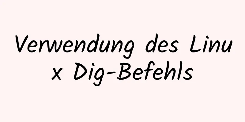 Verwendung des Linux Dig-Befehls