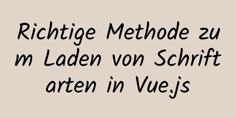 Richtige Methode zum Laden von Schriftarten in Vue.js