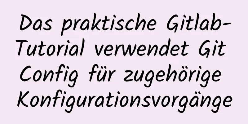 Das praktische Gitlab-Tutorial verwendet Git Config für zugehörige Konfigurationsvorgänge