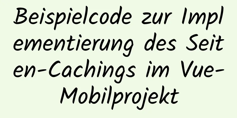 Beispielcode zur Implementierung des Seiten-Cachings im Vue-Mobilprojekt