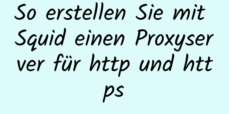 So erstellen Sie mit Squid einen Proxyserver für http und https