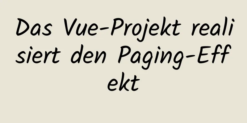 Das Vue-Projekt realisiert den Paging-Effekt