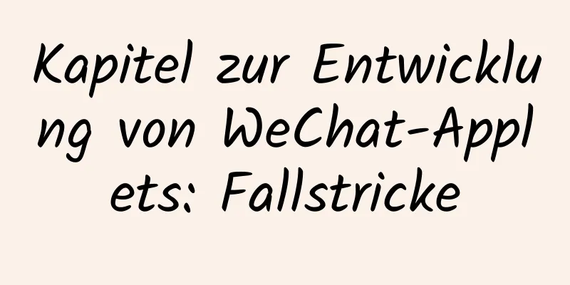 Kapitel zur Entwicklung von WeChat-Applets: Fallstricke