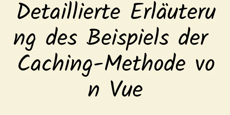 Detaillierte Erläuterung des Beispiels der Caching-Methode von Vue