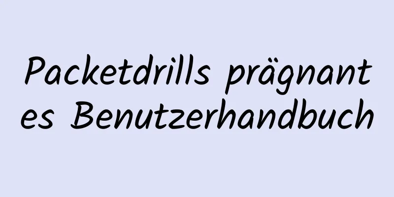 Packetdrills prägnantes Benutzerhandbuch