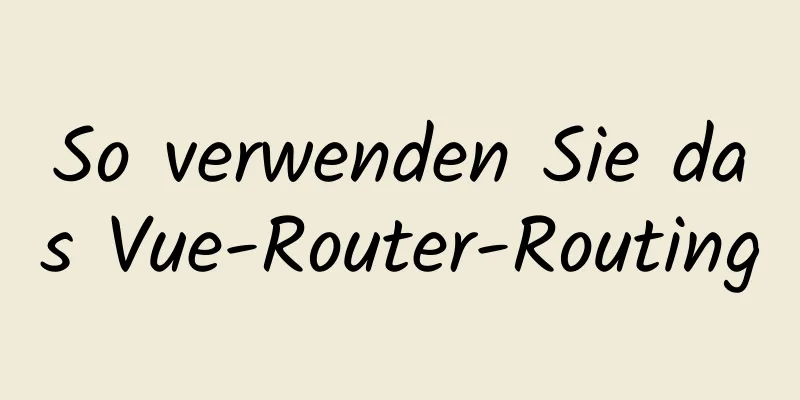 So verwenden Sie das Vue-Router-Routing