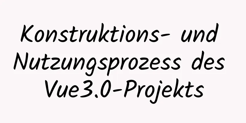 Konstruktions- und Nutzungsprozess des Vue3.0-Projekts