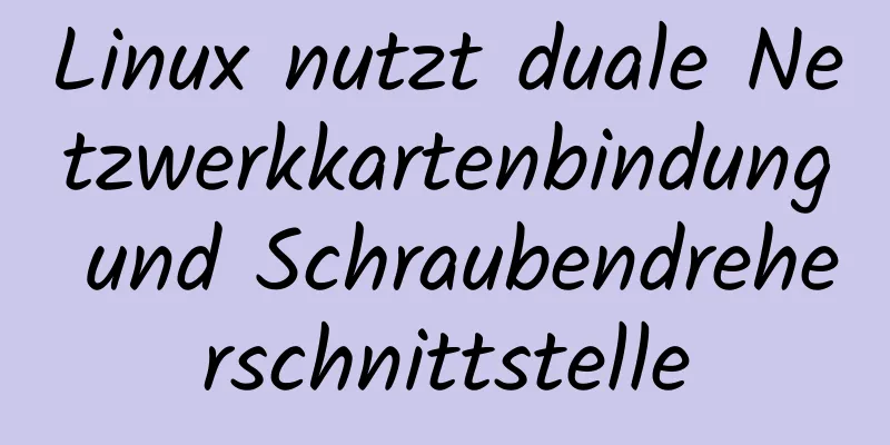 Linux nutzt duale Netzwerkkartenbindung und Schraubendreherschnittstelle