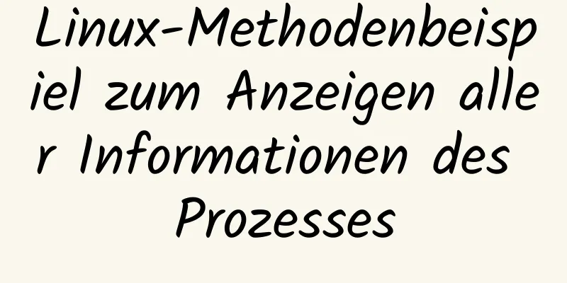 Linux-Methodenbeispiel zum Anzeigen aller Informationen des Prozesses