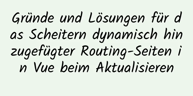 Gründe und Lösungen für das Scheitern dynamisch hinzugefügter Routing-Seiten in Vue beim Aktualisieren