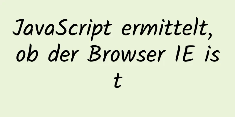 JavaScript ermittelt, ob der Browser IE ist