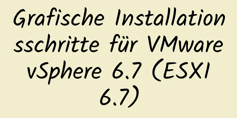 Grafische Installationsschritte für VMware vSphere 6.7 (ESXI 6.7)