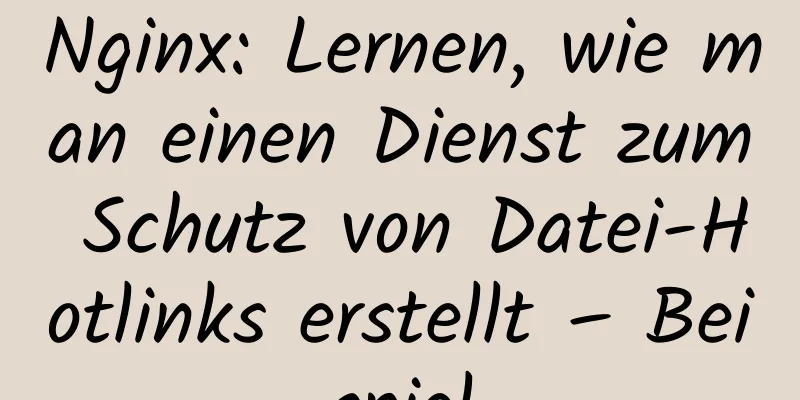 Nginx: Lernen, wie man einen Dienst zum Schutz von Datei-Hotlinks erstellt – Beispiel