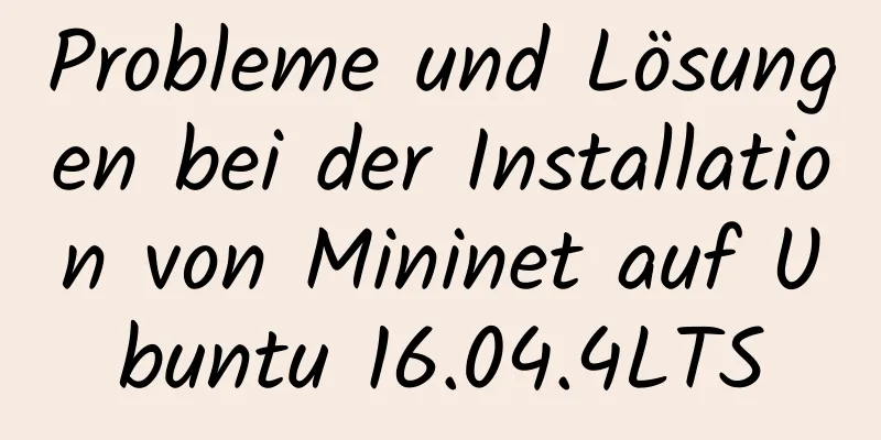 Probleme und Lösungen bei der Installation von Mininet auf Ubuntu 16.04.4LTS