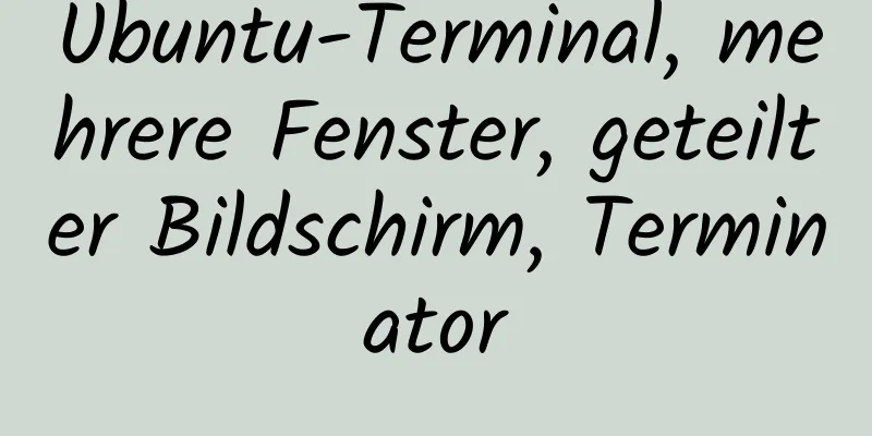 Ubuntu-Terminal, mehrere Fenster, geteilter Bildschirm, Terminator