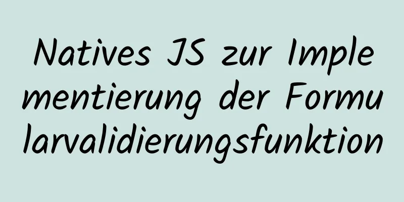 Natives JS zur Implementierung der Formularvalidierungsfunktion