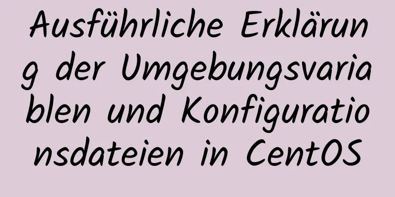 Ausführliche Erklärung der Umgebungsvariablen und Konfigurationsdateien in CentOS