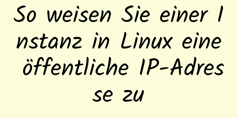 So weisen Sie einer Instanz in Linux eine öffentliche IP-Adresse zu