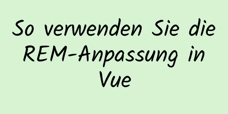 So verwenden Sie die REM-Anpassung in Vue