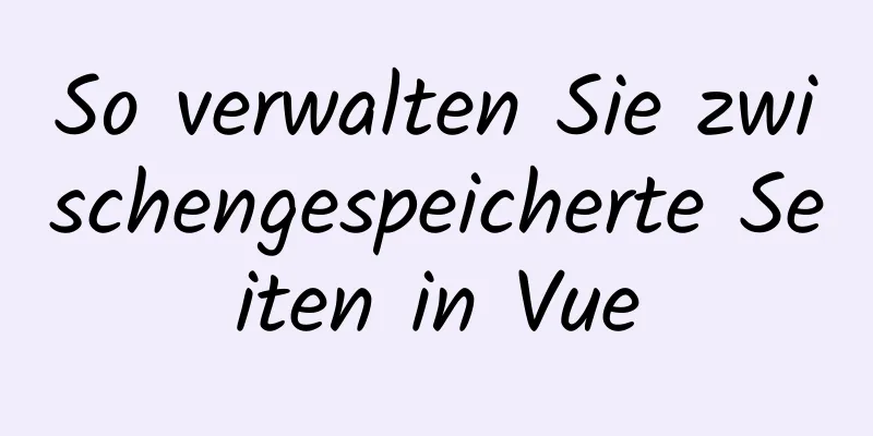 So verwalten Sie zwischengespeicherte Seiten in Vue