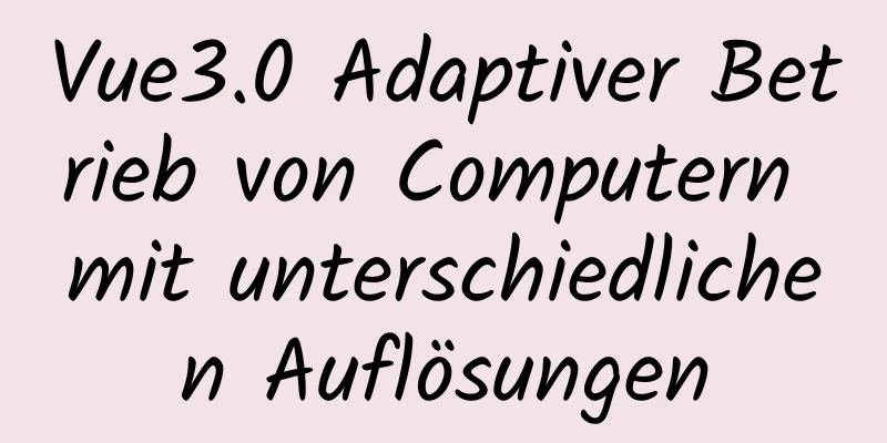 Vue3.0 Adaptiver Betrieb von Computern mit unterschiedlichen Auflösungen