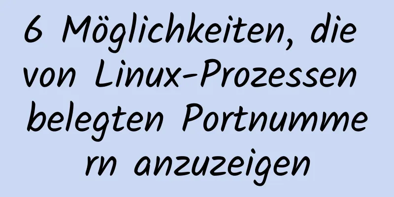 6 Möglichkeiten, die von Linux-Prozessen belegten Portnummern anzuzeigen