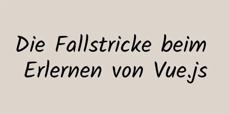 Die Fallstricke beim Erlernen von Vue.js