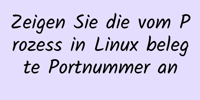 Zeigen Sie die vom Prozess in Linux belegte Portnummer an