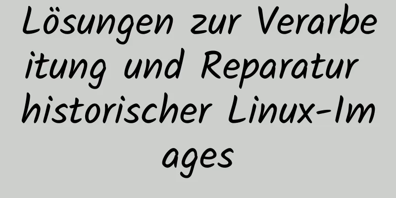 Lösungen zur Verarbeitung und Reparatur historischer Linux-Images