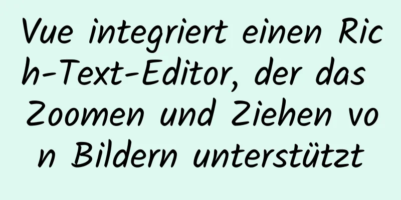 Vue integriert einen Rich-Text-Editor, der das Zoomen und Ziehen von Bildern unterstützt