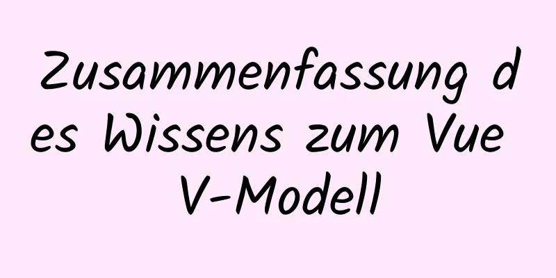 Zusammenfassung des Wissens zum Vue V-Modell