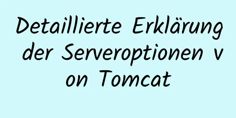 Detaillierte Erklärung der Serveroptionen von Tomcat