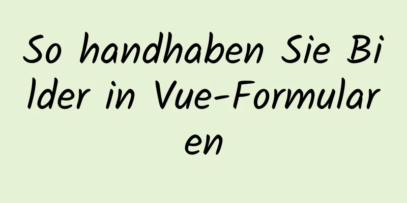 So handhaben Sie Bilder in Vue-Formularen