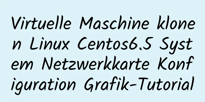 Virtuelle Maschine klonen Linux Centos6.5 System Netzwerkkarte Konfiguration Grafik-Tutorial