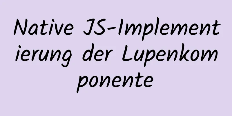 Native JS-Implementierung der Lupenkomponente