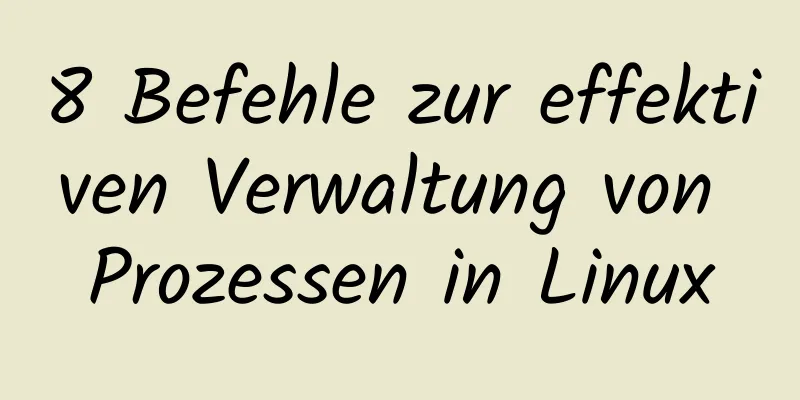 8 Befehle zur effektiven Verwaltung von Prozessen in Linux