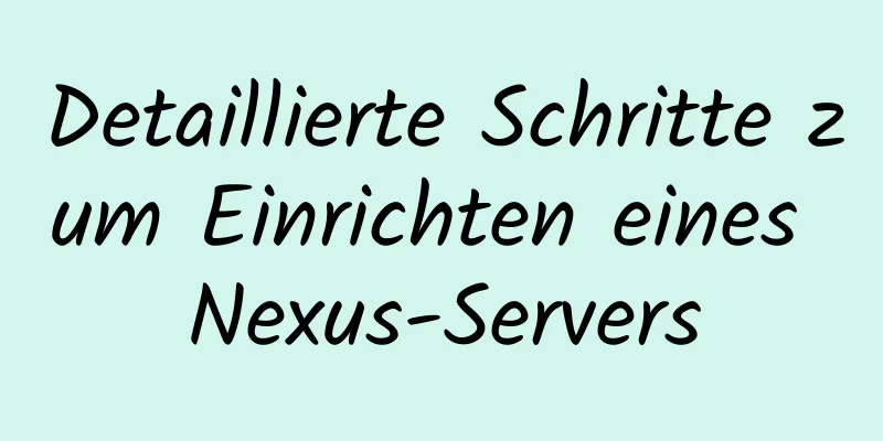 Detaillierte Schritte zum Einrichten eines Nexus-Servers