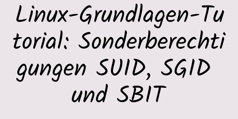 Linux-Grundlagen-Tutorial: Sonderberechtigungen SUID, SGID und SBIT