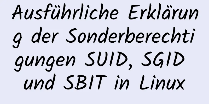 Ausführliche Erklärung der Sonderberechtigungen SUID, SGID und SBIT in Linux