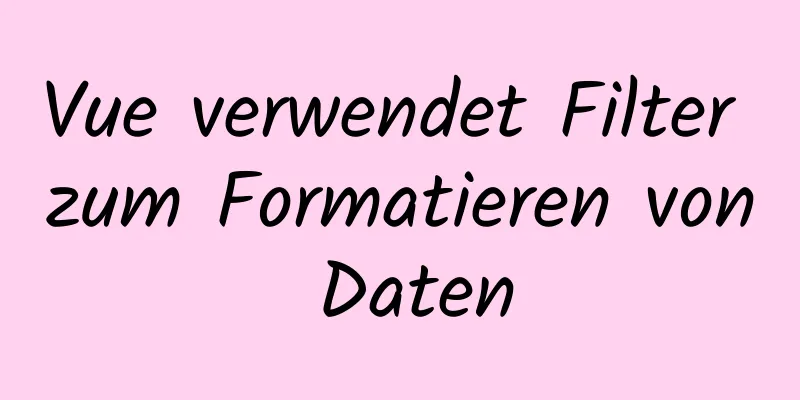 Vue verwendet Filter zum Formatieren von Daten