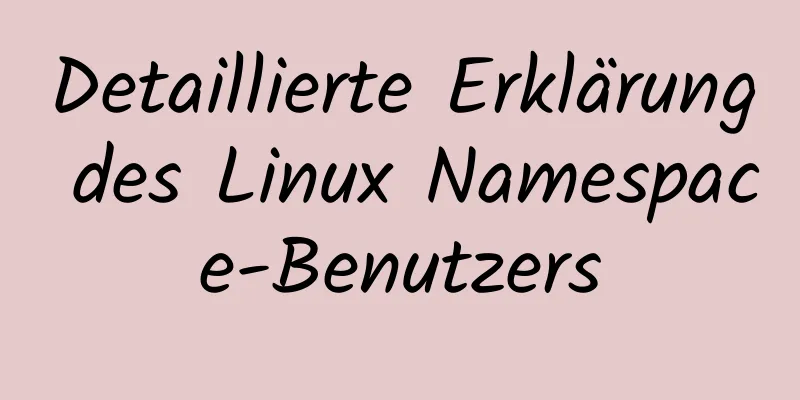 Detaillierte Erklärung des Linux Namespace-Benutzers