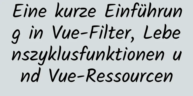 Eine kurze Einführung in Vue-Filter, Lebenszyklusfunktionen und Vue-Ressourcen